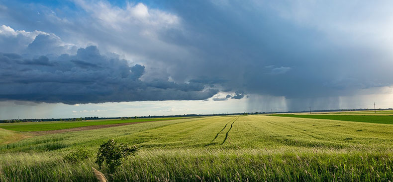 El impacto de las condiciones climáticas en la agricultura